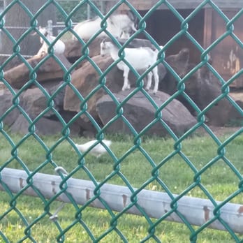 Johnson Park - Goats - Parks Near Me - Piscataway, New Jersey
