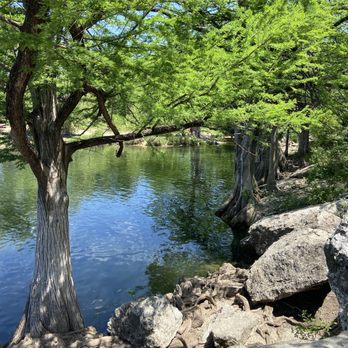 McKinney Falls State Park - Creek edge - Parks Near Me - Austin, Texas McKinney Falls State Park - Creek edge - Parks Near Me - Austin, Texas
