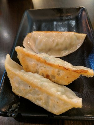 Tokyo Dumpling by null