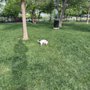 Photo of Stoney Creek Park