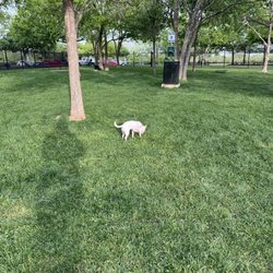Stoney Creek Park - We love this dog park