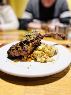 The Old Goat by null