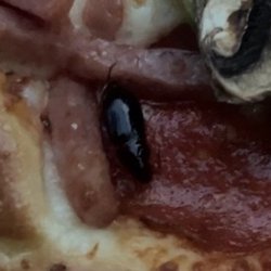 Pizza Hut - Check your pizza