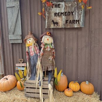 The Remedy Farm - Attraction Farms Near Me - San Antonio, Florida