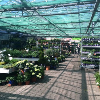 Berghausener Blumentopf - Gartenbereich - Nurseries & Gardening Near Me - Langenfeld, NW Berghausener Blumentopf - Gartenbereich - Nurseries & Gardening Near Me - Langenfeld, NW