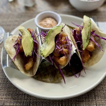 Pancho's Backyard - Fish tacos - Mexican Near Me - San Miguel de Cozumel, ROO Pancho's Backyard - Fish tacos - Mexican Near Me - San Miguel de Cozumel, ROO