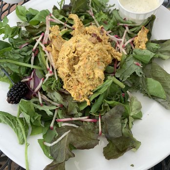 The Root Cafe - Curry Salad - Cafes Near Me - Little Rock, Arkansas The Root Cafe - Curry Salad - Cafes Near Me - Little Rock, Arkansas
