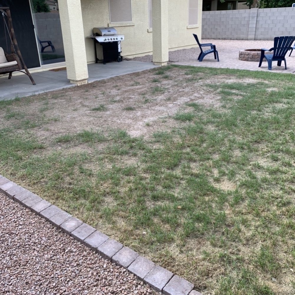 East Valley Turf - Before - Artificial Turf Near Me - Gilbert, Arizona