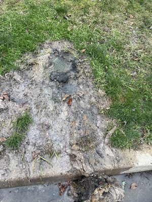 Straight Flush Plumbing