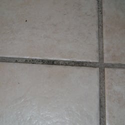 Palm Beach Ocean Front Inn - Mold on floors, it may be easier at this point and say what was not covered in mold.... oh wait.