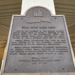 Cedar Downs Racing Derby