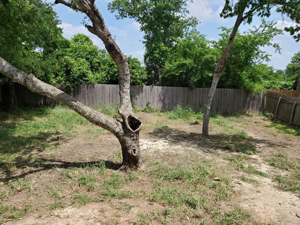 Slide of Bird's Eye Roofing & Construction
