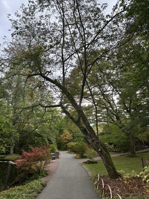 Gothenburg Botanical Garden by null