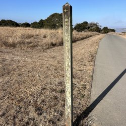 Elkhorn Slough National Estuarine Research Reserve