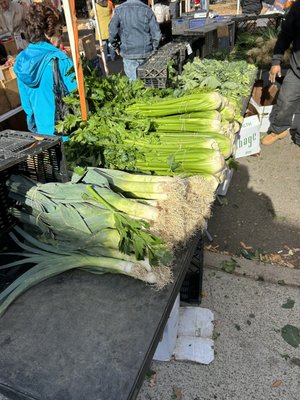 Forest Hills Greenmarket by null