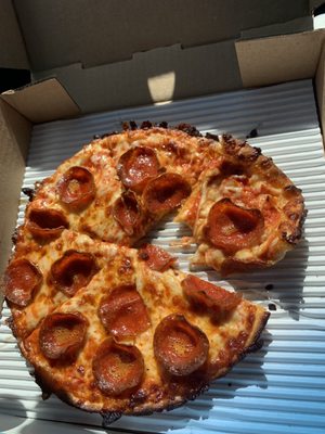 Pizza Cat by null