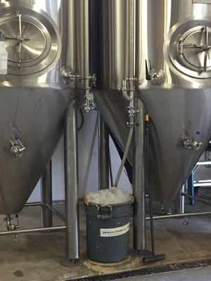 New English Brewing - San Diego Brewery by null