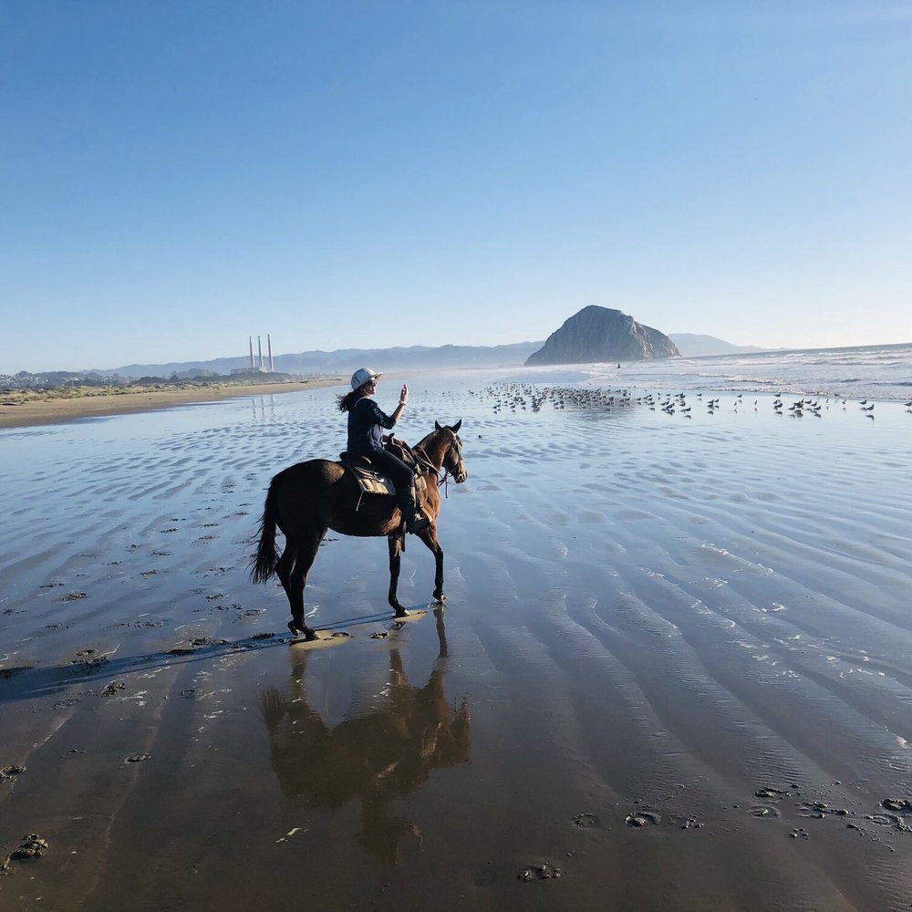 TOP 10 BEST Horseback Riding near Morro Bay, CA 93442 - Updated 2026 - Yelp, image size:1000x1000