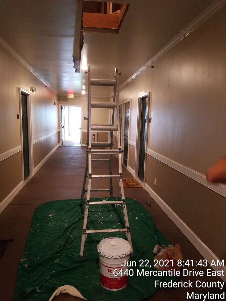 Home Safe Mold Remediation - mold inspector in North Bethesda, MD