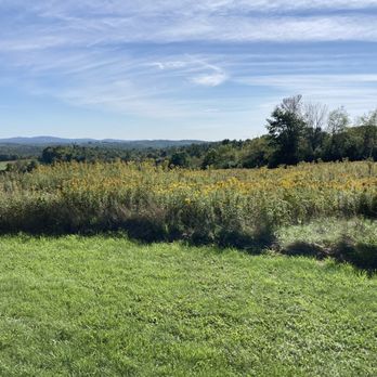 Ooms - Hiking Near Me - Chatham, New York