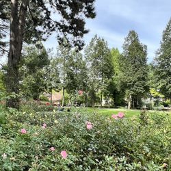 Parkanlage Rosengarten
