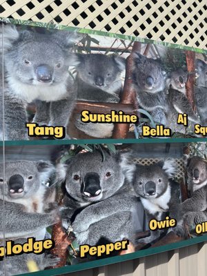 Caversham Wildlife Park by null