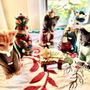Photo of Long Island Mobile Veterinary Services