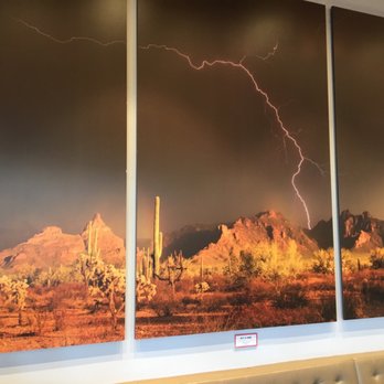 Ocotillo - Wall art. - New American Near Me - Phoenix, Arizona