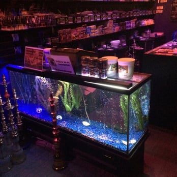 5 Star Hookah - Hookah Bars Near Me - Granada Hills, California 5 Star Hookah - Hookah Bars Near Me - Granada Hills, California