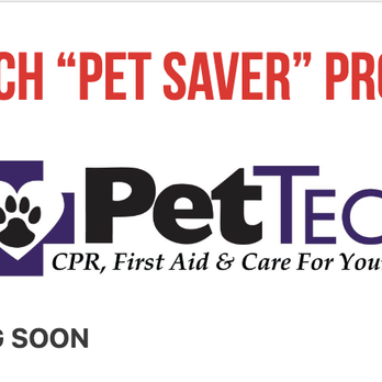 Sit Means Sit - Reno - Pet Training Near Me - Reno, Nevada