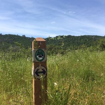 Independence Flat Loop Trail - Hiking Near Me - Nevada City, California
