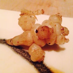 Roji - The weirdest veggie!