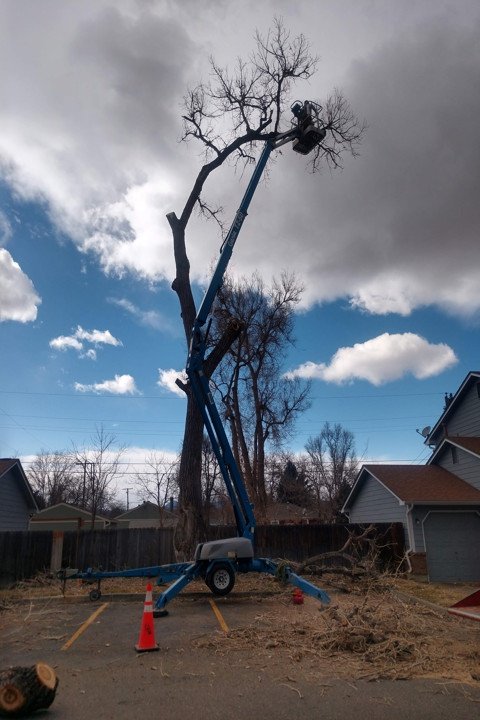 3 Generations Tree Service - tree service in Denver, CO