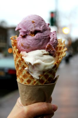 Dippity Do Dahs Homemade Ice Cream by null