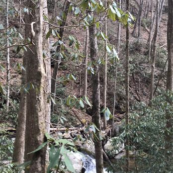 Anna Ruby Falls - Hiking Near Me - White, Georgia