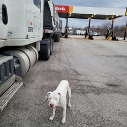 Pilot Travel Center - Plymouth