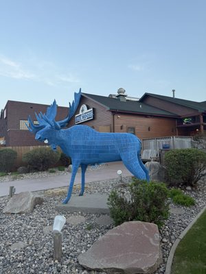 Blue Moose Bar & Grill by null