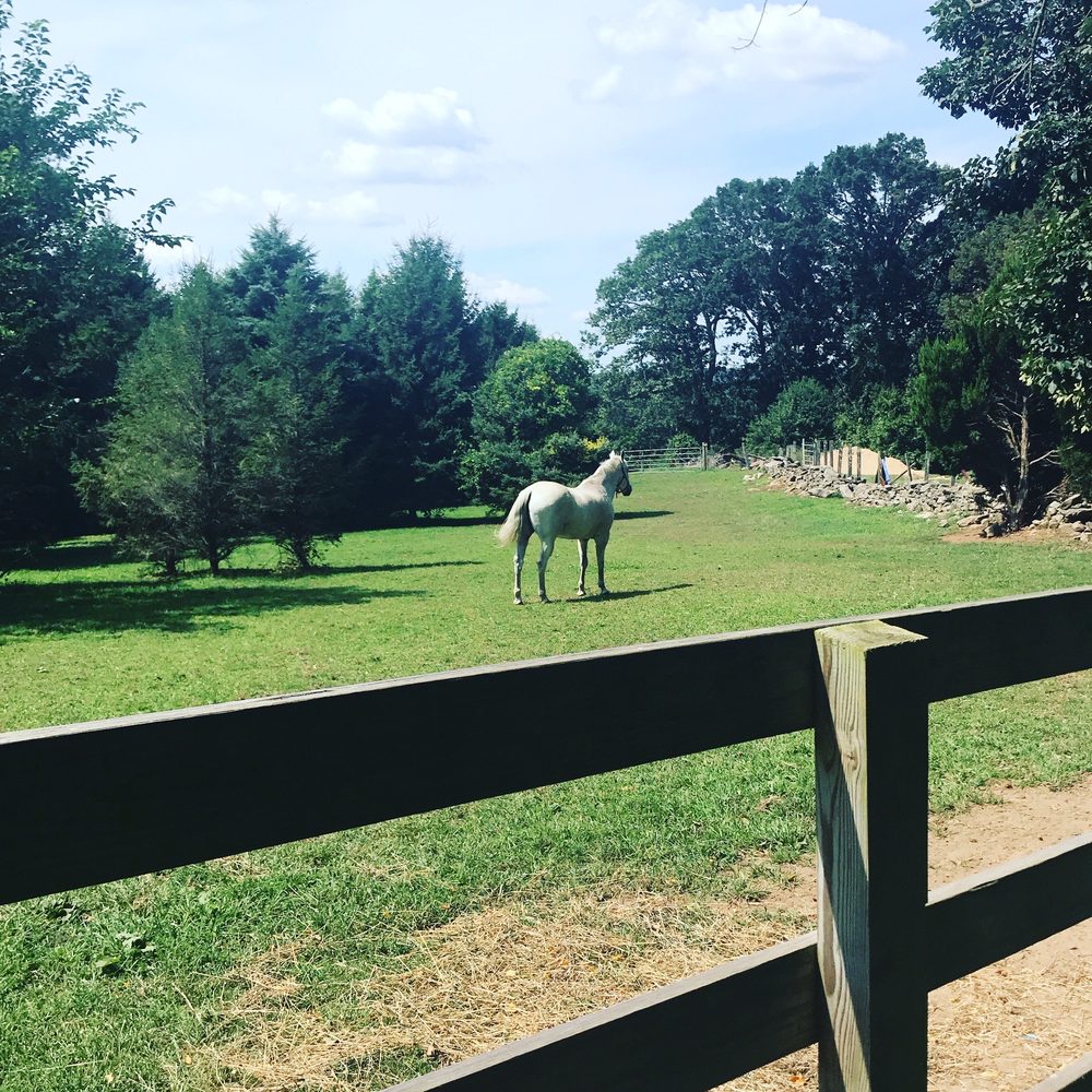 CHESTER HILL FARM Updated August 2024 12 Photos 55 Old Dairy Rd