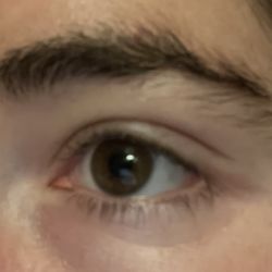 Elegant Brows - Before