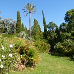 Domaine du Rayol - Jardin d'Amérique subtropicale