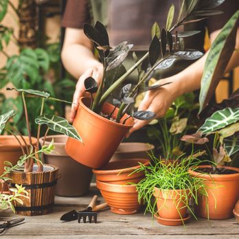 aesthetic plant pots Artificial in Pots Small Fake Plants for Bedroom Aesthetic Living Room   Farmsgear