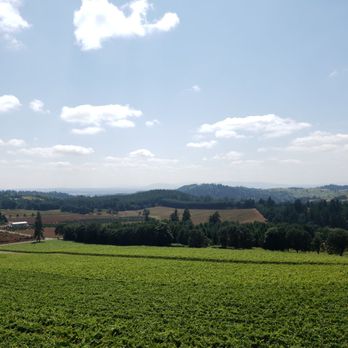 Willamette Valley Vineyards - Nice view - Wineries Near Me - Turner, Oregon Willamette Valley Vineyards - Nice view - Wineries Near Me - Turner, Oregon