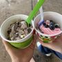 Photo of sweetFrog Premium Frozen Yogurt
