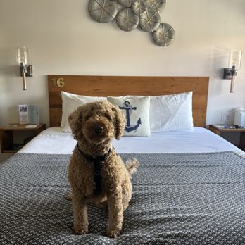 Haley Hotel - Hotels Near Me - Santa Barbara, California