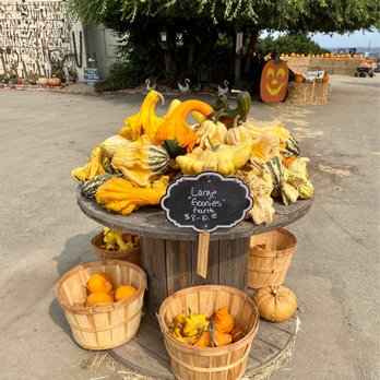 Borchard Farms - Pumpkin Patches Near Me - Salinas, California