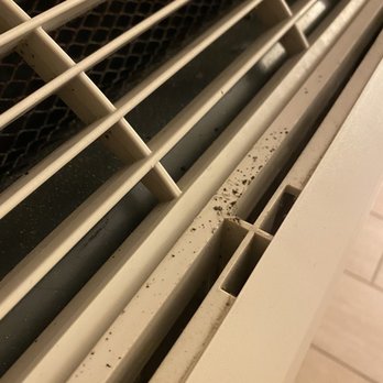 Chateau Mar Beach Resort - Black mold. - Hotels Near Me - Ormond Beach, Florida