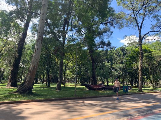 Ibirapuera Park by null