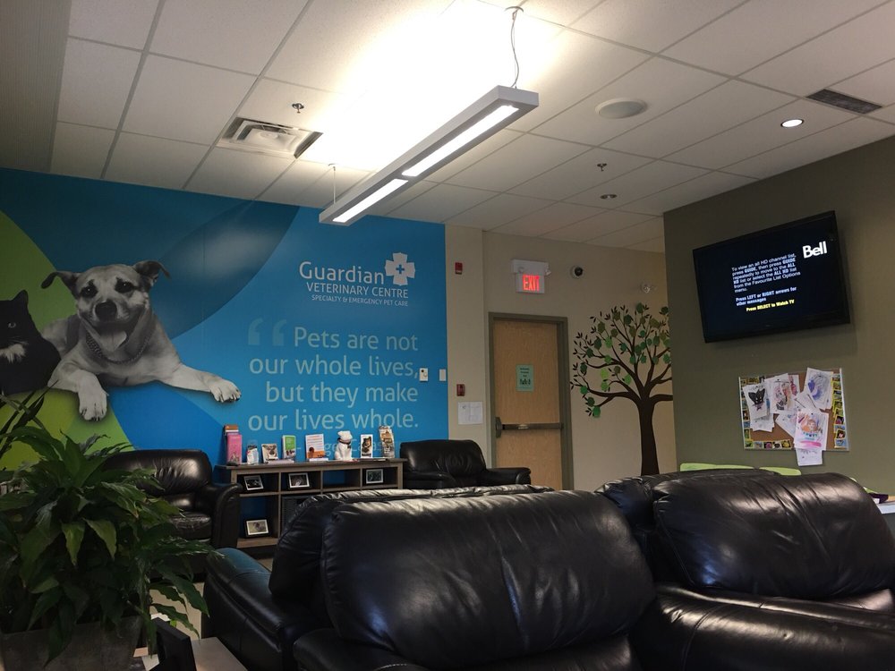 guardian vet clinic