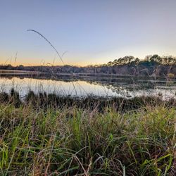 Buescher State Park