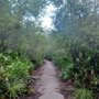 Photo of Black Hammock Wilderness Area and Trail